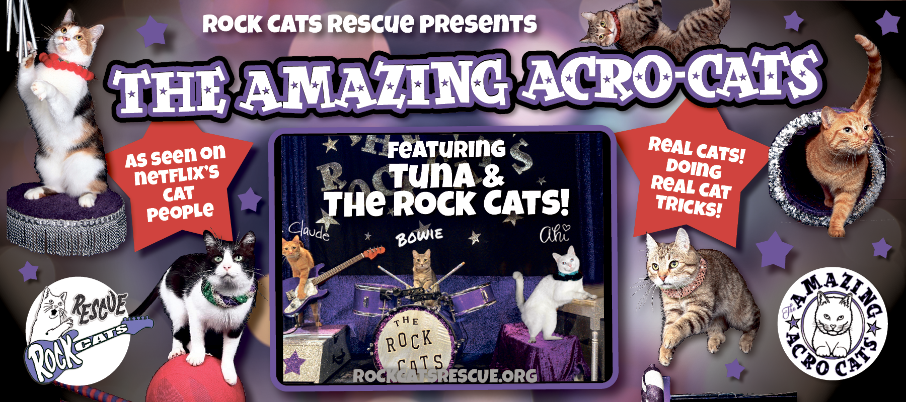THE AMAZING ACROCATS! Dominion Energy Center Official Website