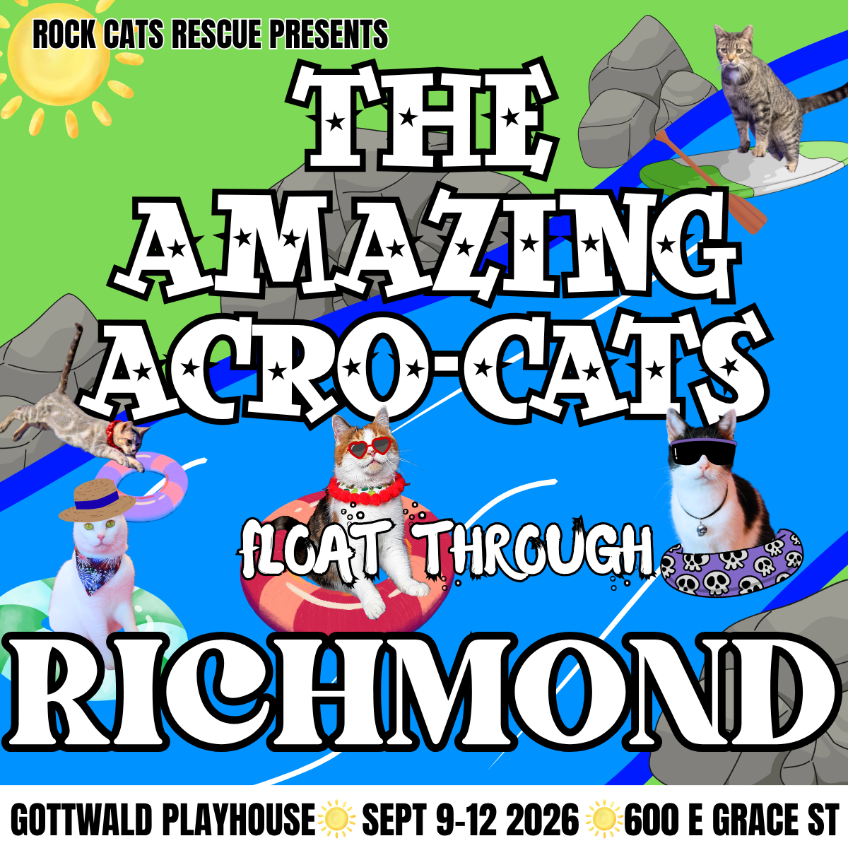 The Amazing Acro-Cats
